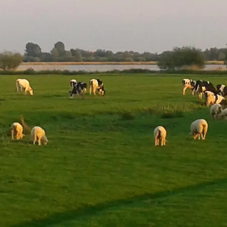 App Mit Eigener Sauna, Ruhig Und Idyllisch Lejlighed *